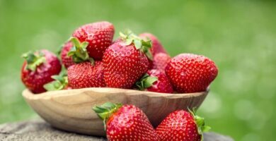 NOMBRES PARA NEGOCIOS DE FRESAS