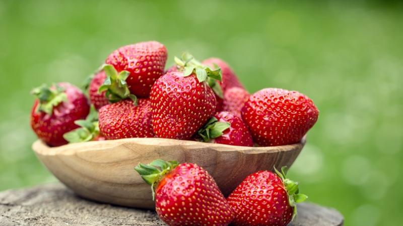 NOMBRES PARA NEGOCIOS DE FRESAS